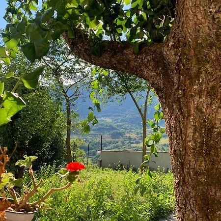 B&B Al San Francesco Castel Di Sangro Exterior foto